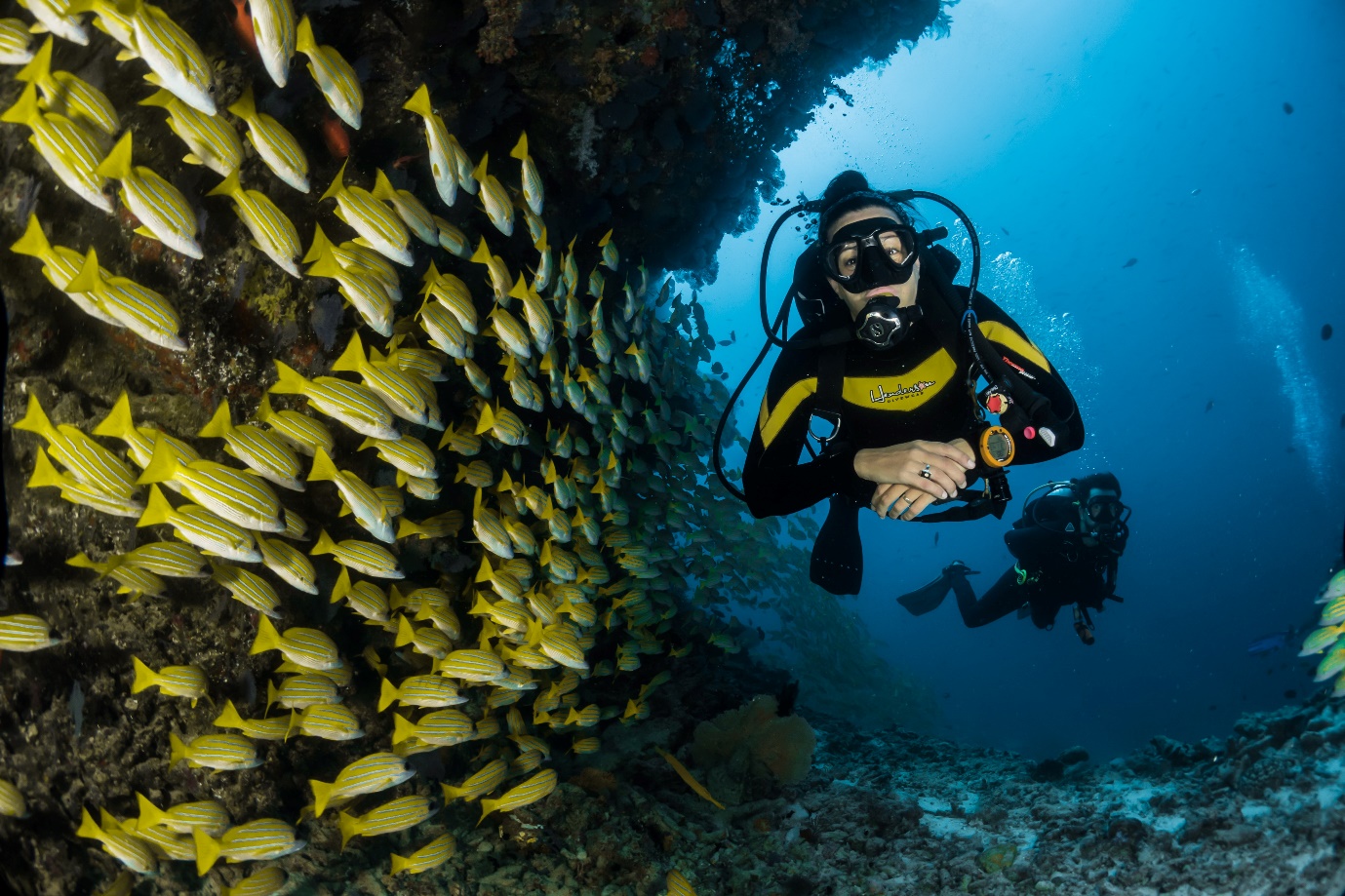 Diving in zanzibar